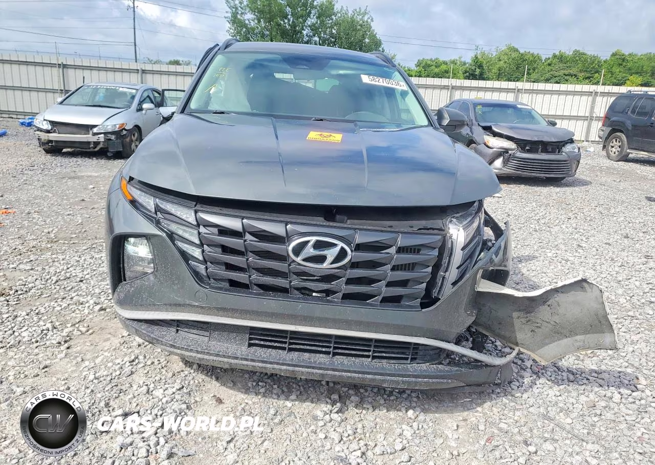 2024 Hyundai Tucson Blue VIN:KM8JBCD1XRU196176 - 5