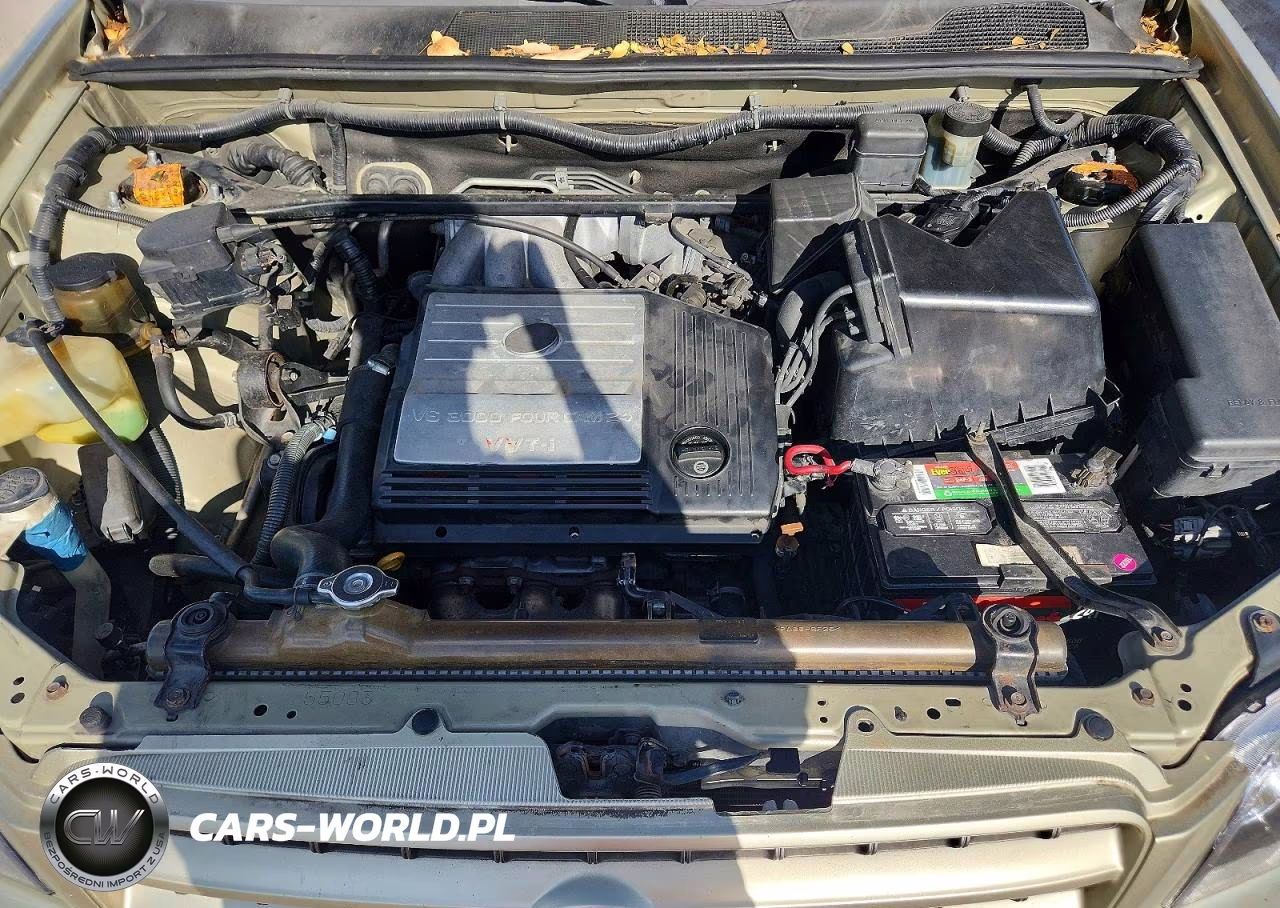 2002 Toyota Highlander Limited VIN:JTEGF21AX20032937 - 12