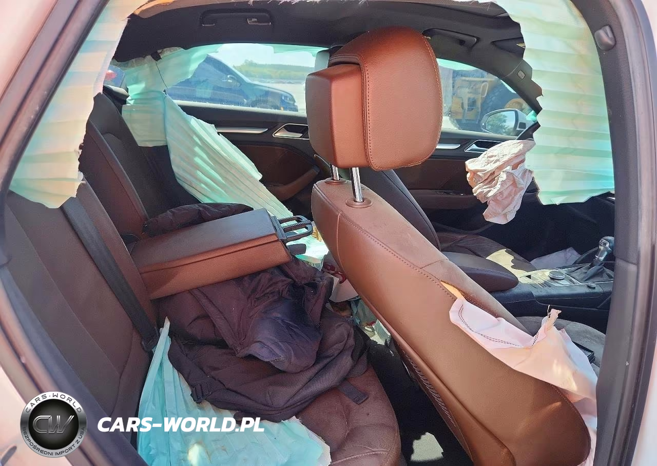 2019 Audi A3 Premium Plus VIN:WAUGUGFF3KA062915 - 10