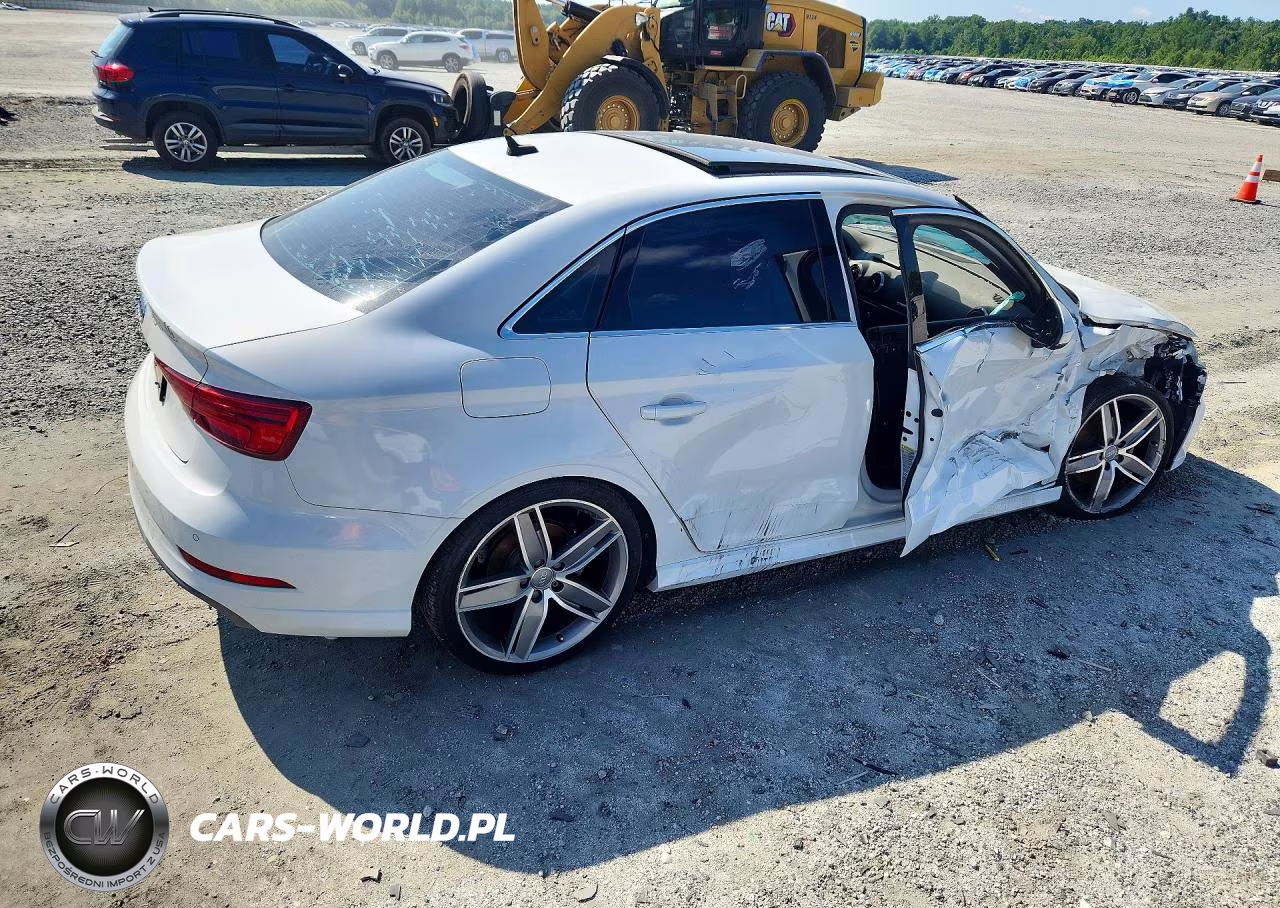 2019 Audi A3 Premium Plus VIN:WAUGUGFF3KA062915 - 3