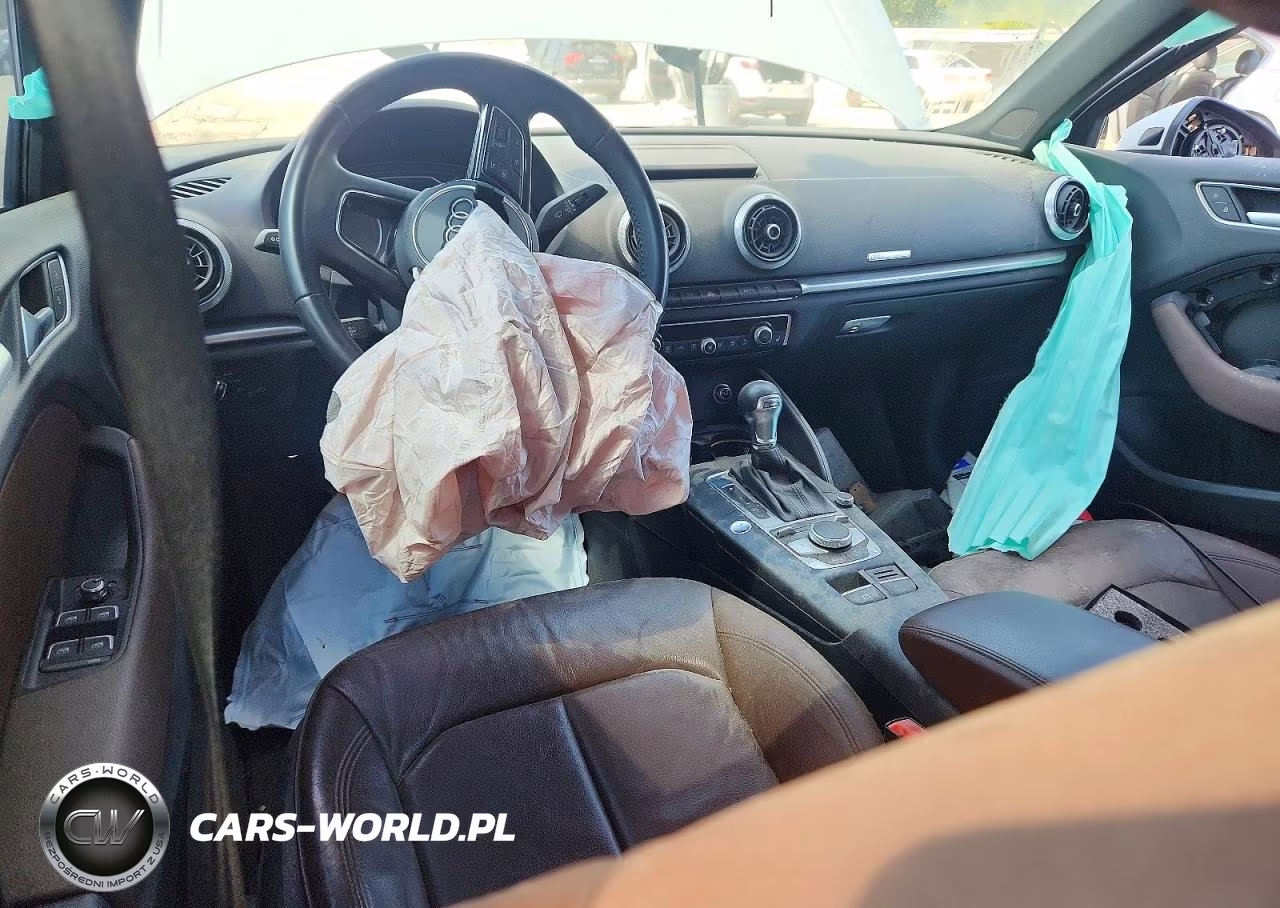 2019 Audi A3 Premium Plus VIN:WAUGUGFF3KA062915 - 8