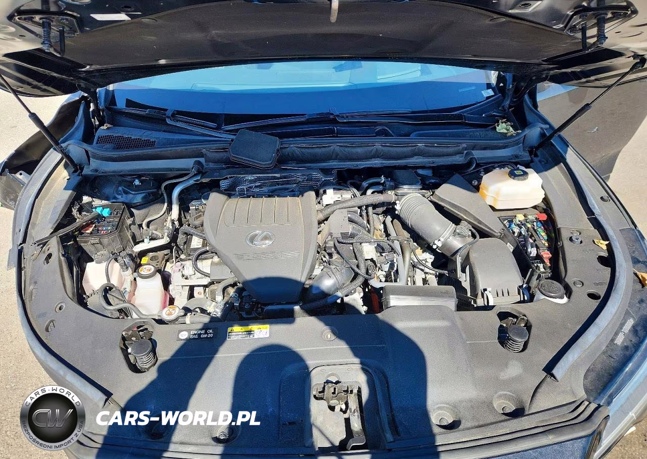 2024 Lexus Rx 500H F Sport VIN:2T2BCMEA8RC011013 - 12