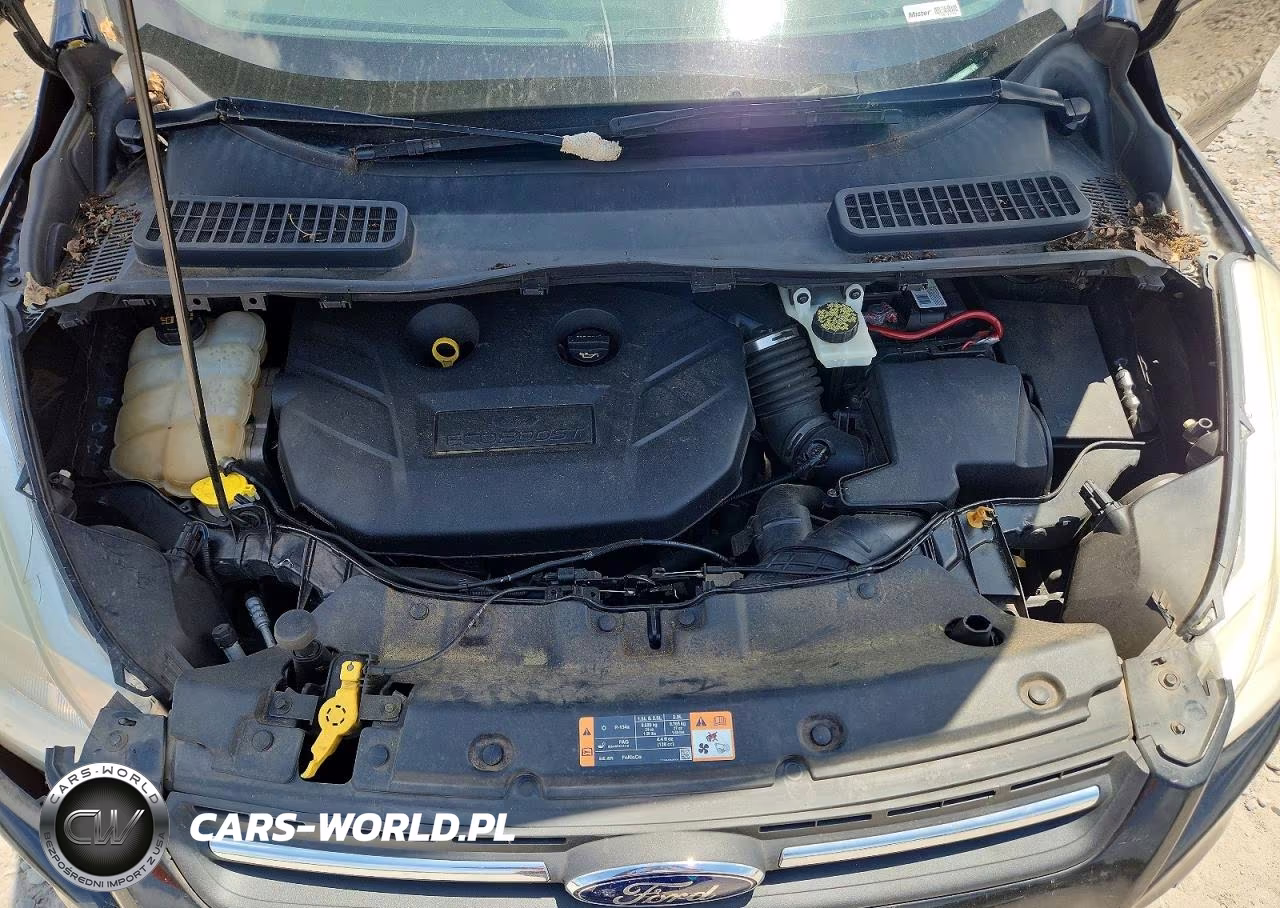 2014 Ford Escape Se VIN:1FMCU0G95EUD06001 - 12