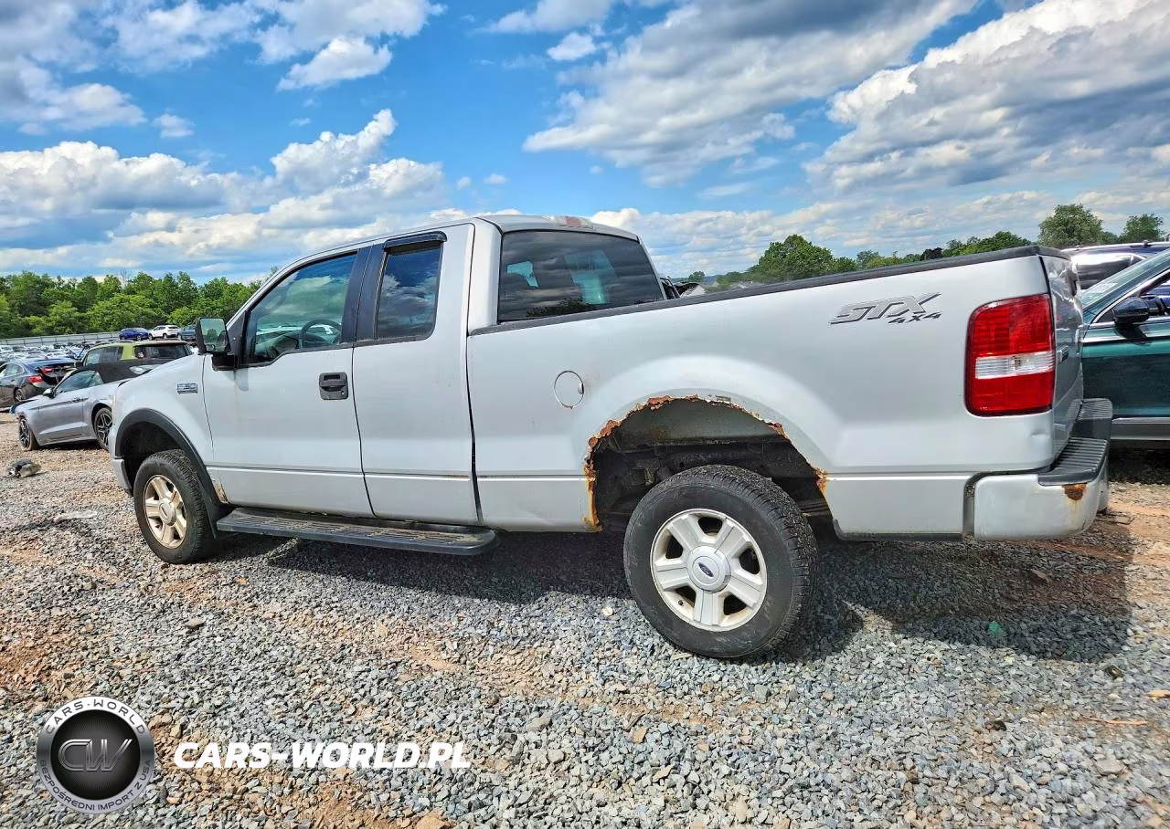 2005 Ford F150 VIN:1FTRX14W15NB96371 - 2