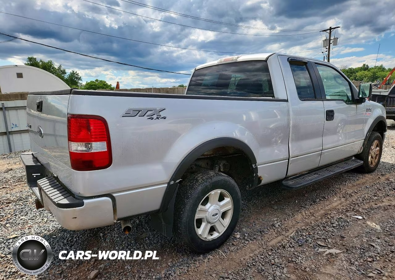 2005 Ford F150 VIN:1FTRX14W15NB96371 - 3