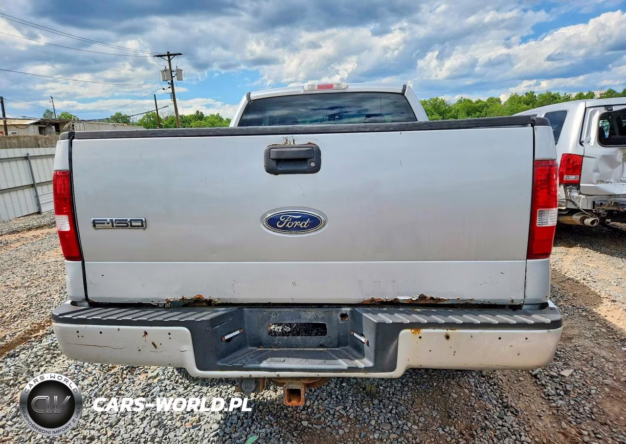 2005 Ford F150 VIN:1FTRX14W15NB96371 - 6