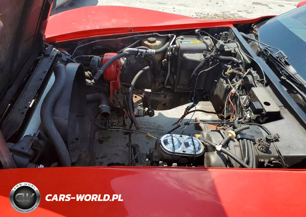 1981 Chevrolet Corvette VIN:1G1AY8762BS424270 - 11