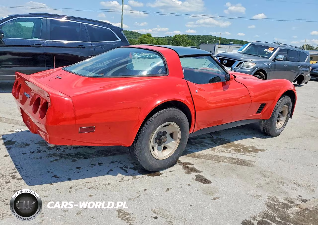 1981 Chevrolet Corvette VIN:1G1AY8762BS424270 - 3
