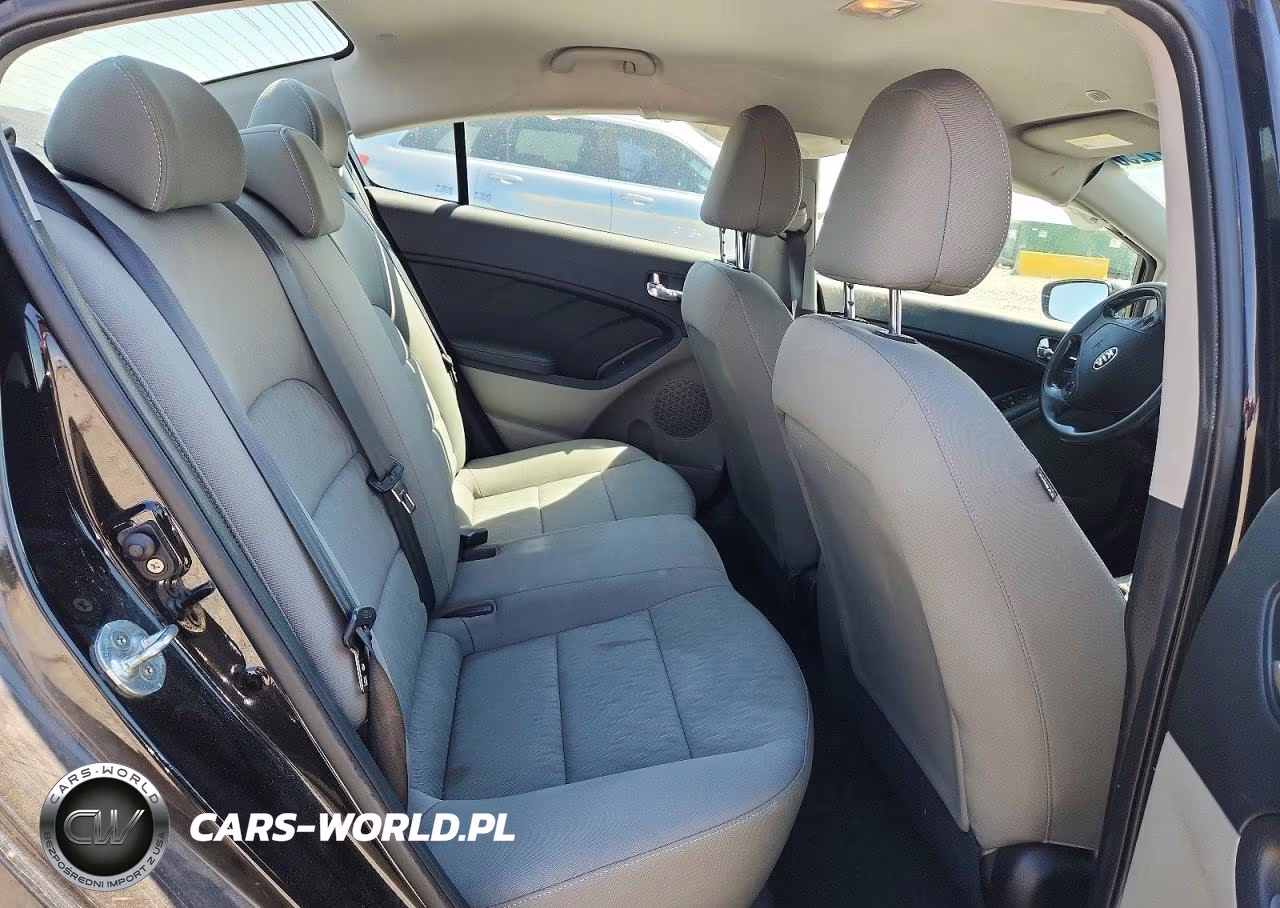 2015 Kia Forte Lx VIN:KNAFK4A67F5371602 - 10