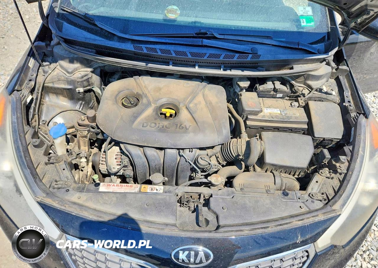 2015 Kia Forte Lx VIN:KNAFK4A67F5371602 - 11