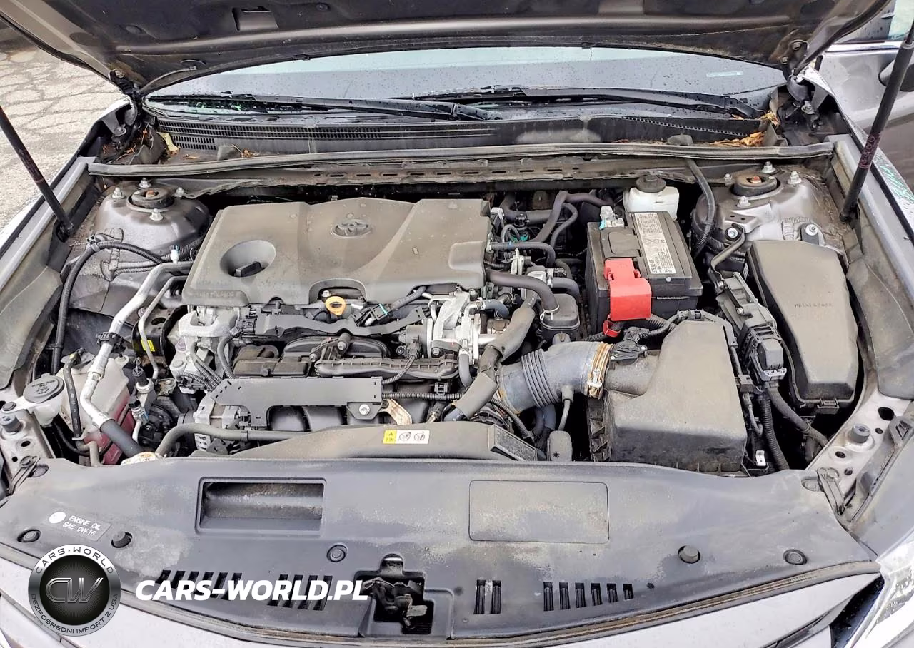 2019 Toyota Camry Le VIN:4T1B11HK4KU262662 - 11