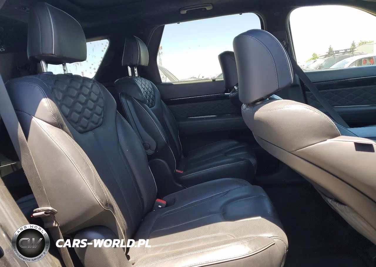 2020 Hyundai Palisade Limited VIN:KM8R54HE3LU074408 - 11
