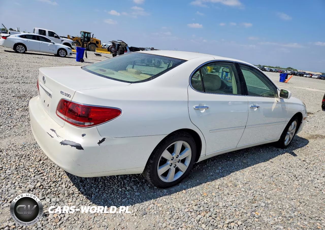2006 Lexus Es 330 VIN:JTHBA30G565149292 - 3