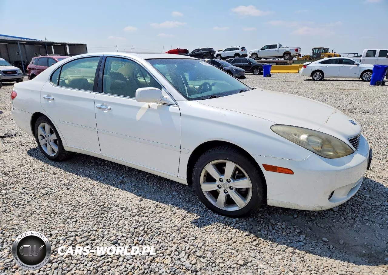 2006 Lexus Es 330 VIN:JTHBA30G565149292 - 4