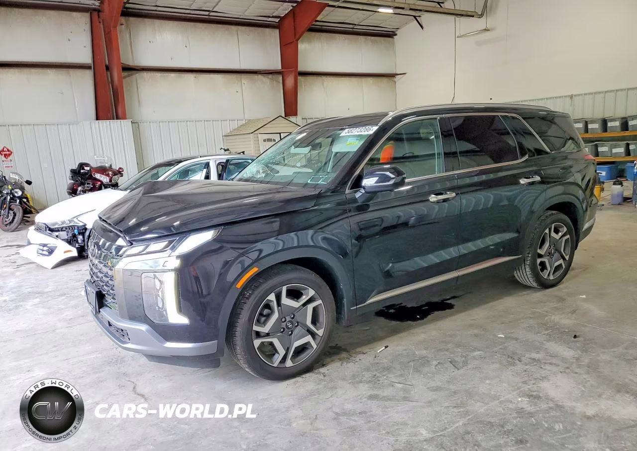 2024 Hyundai Palisade Limited – zdjęcie 1 z 13