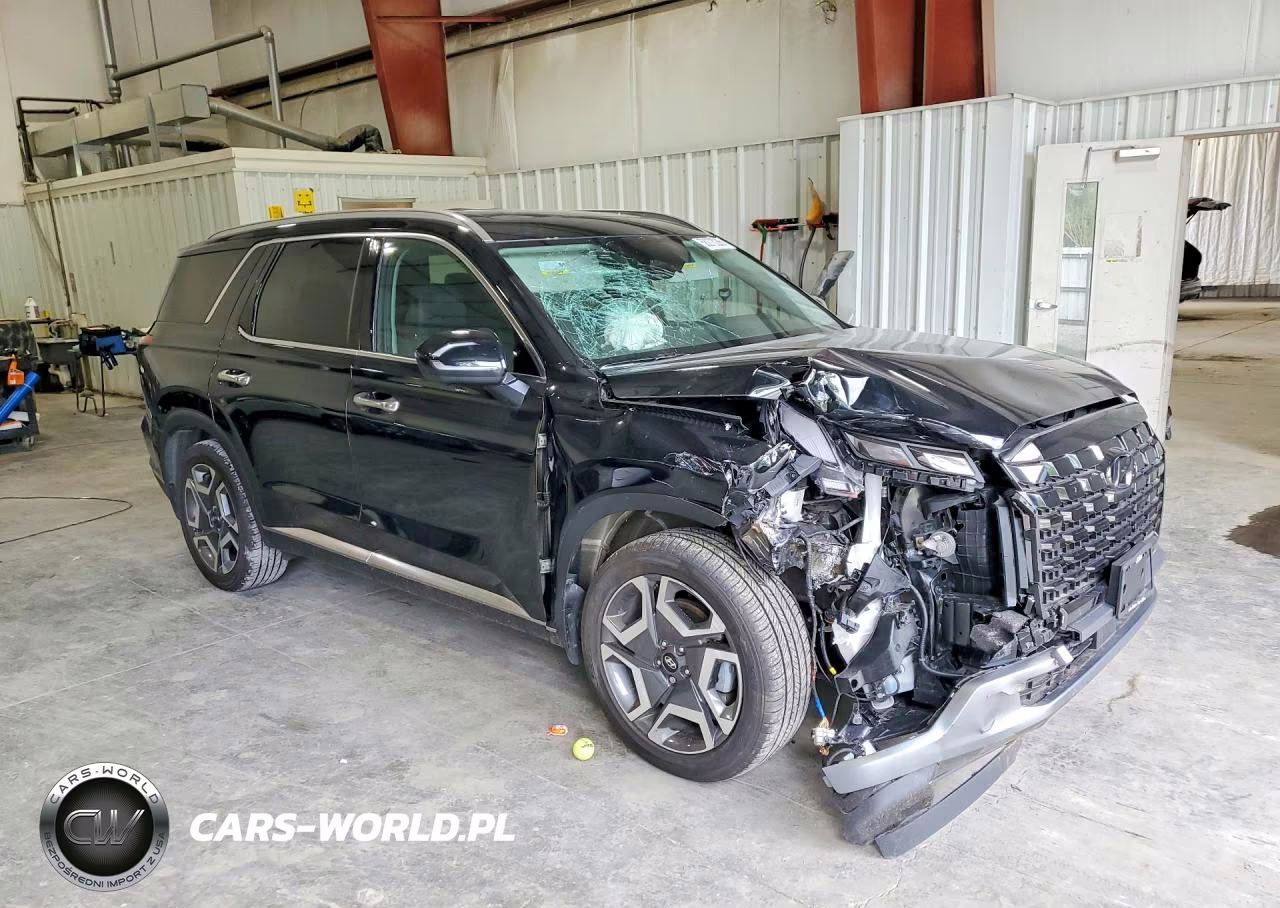 2024 Hyundai Palisade Limited VIN:KM8R5DGE2RU670765 - 4