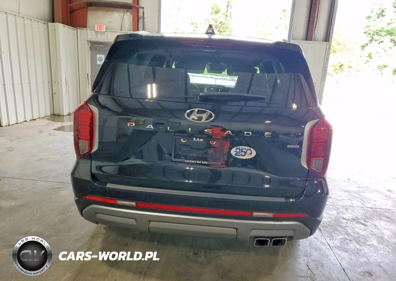 2024 Hyundai Palisade Limited VIN:KM8R5DGE2RU670765 - 6
