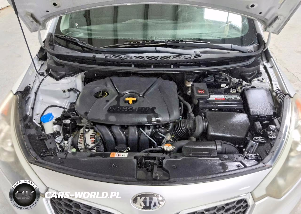 2015 Kia Forte Lx VIN:KNAFX4A62F5263129 - 11
