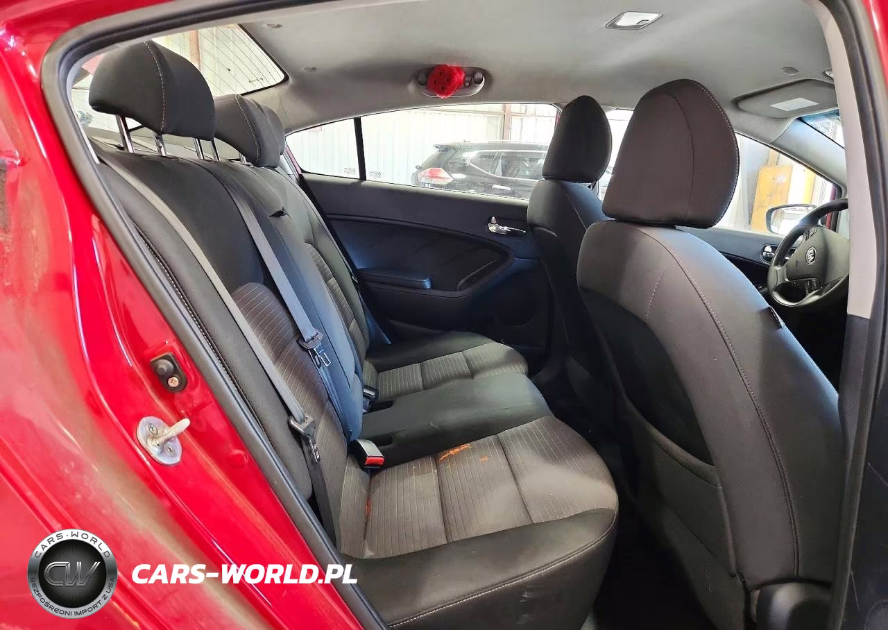 2015 Kia Forte Lx VIN:KNAFX4A6XF5313193 - 10