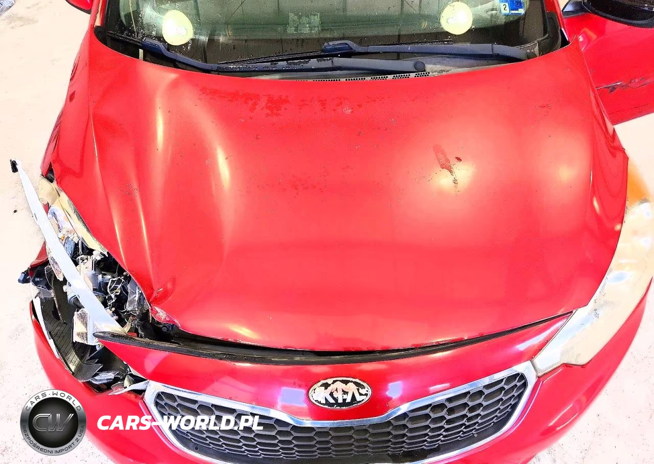 2015 Kia Forte Lx VIN:KNAFX4A6XF5313193 - 11