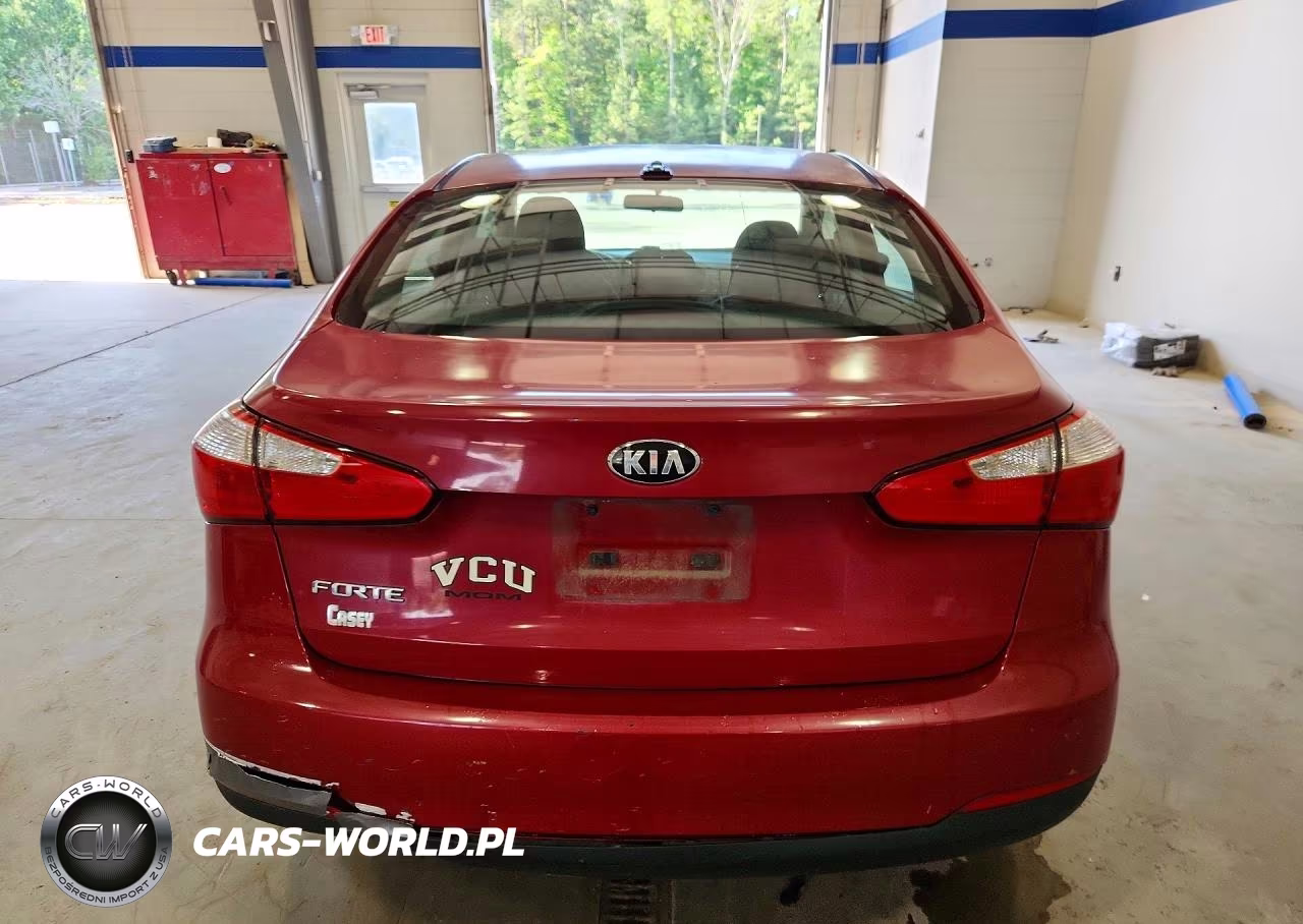 2015 Kia Forte Lx VIN:KNAFX4A6XF5313193 - 6
