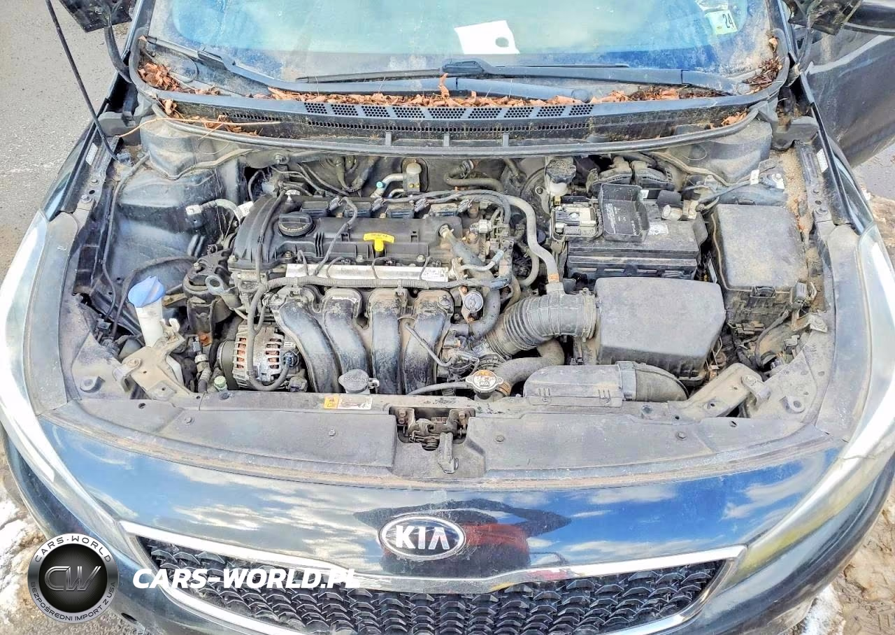 2017 Kia Forte Lx VIN:3KPFK4A70HE053761 - 11
