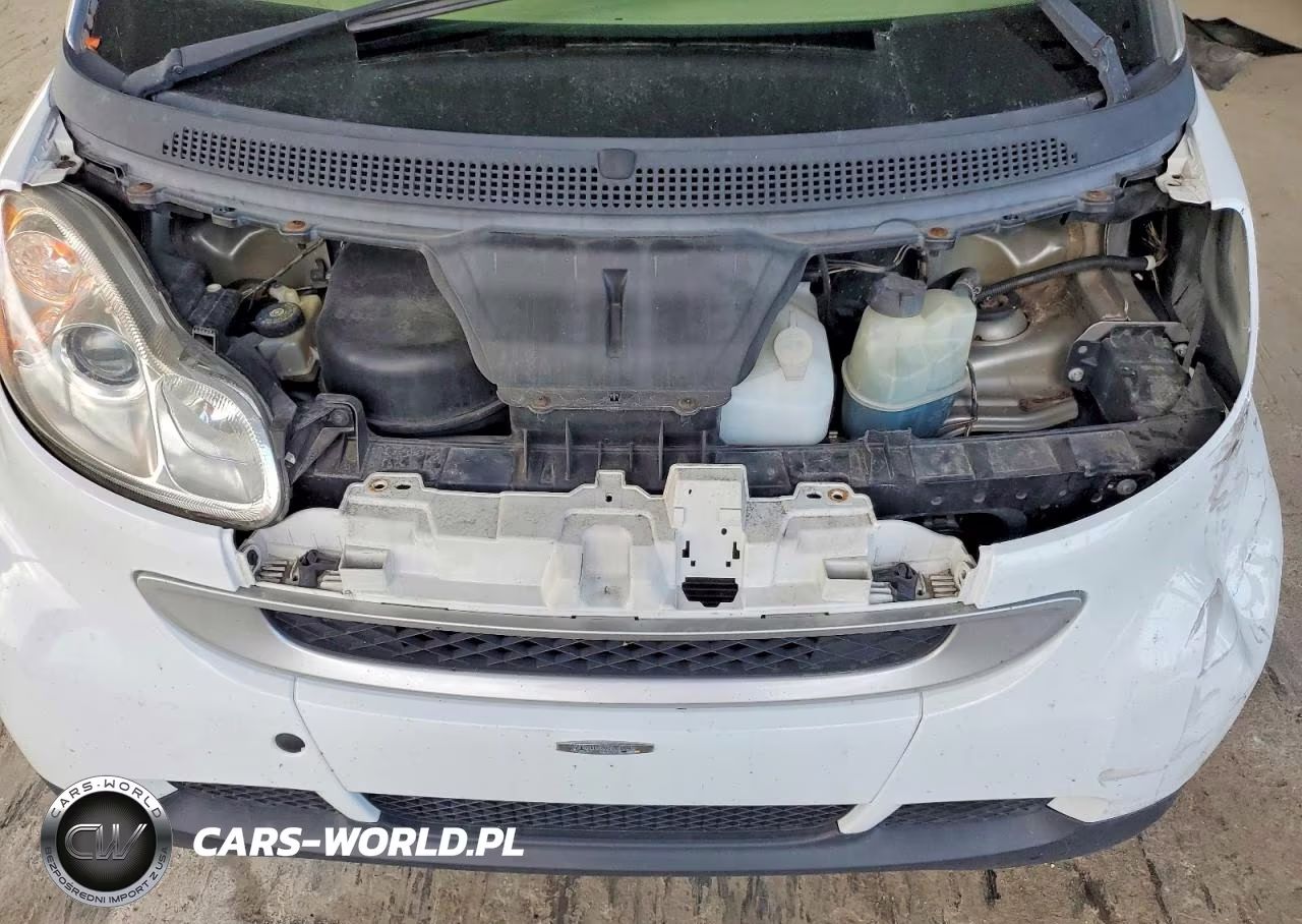 2009 Smart Fortwo Pure VIN:WMEEJ31X89K250881 - 11