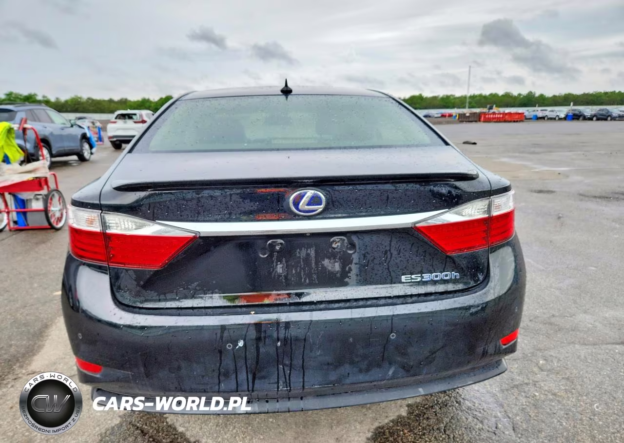 2013 Lexus Es 300H VIN:JTHBW1GG9D2022989 - 6
