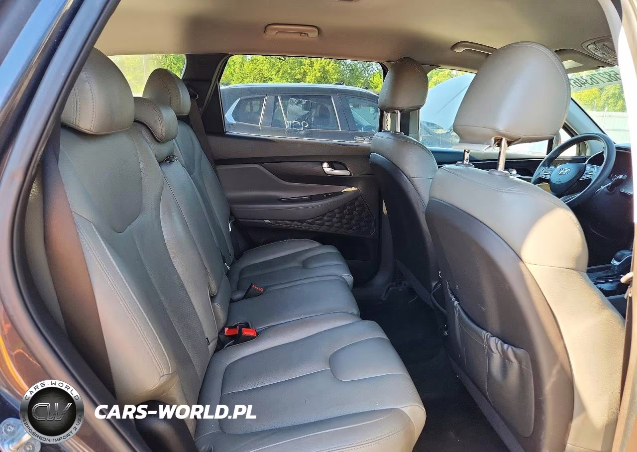 2020 Hyundai Santa Fe Sel VIN:5NMS33AD0LH227888 - 10