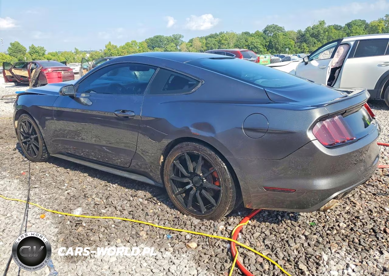 2016 Ford Mustang VIN:1FA6P8AM1G5293027 - 2