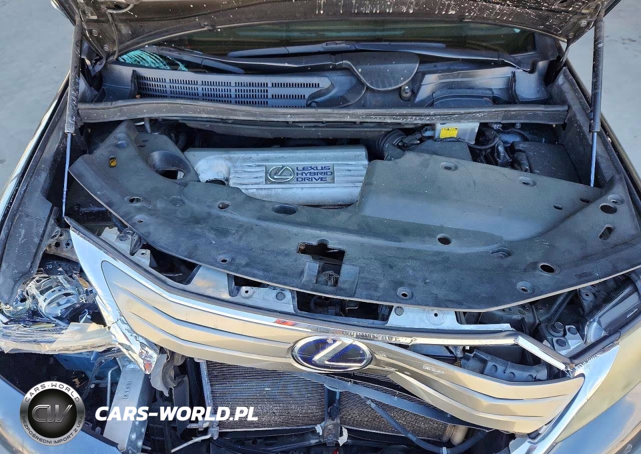 2010 Lexus Hs 250H VIN:JTHBB1BA2A2035996 - 11