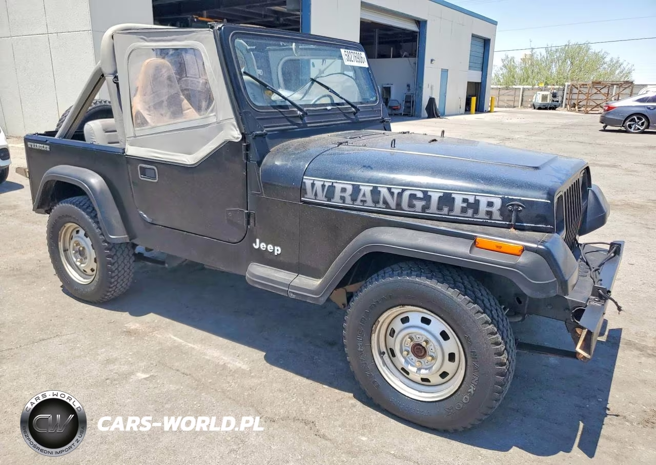 1989 Jeep Wrangler - Yj VIN:2J4FY19E5KJ169262 - 4