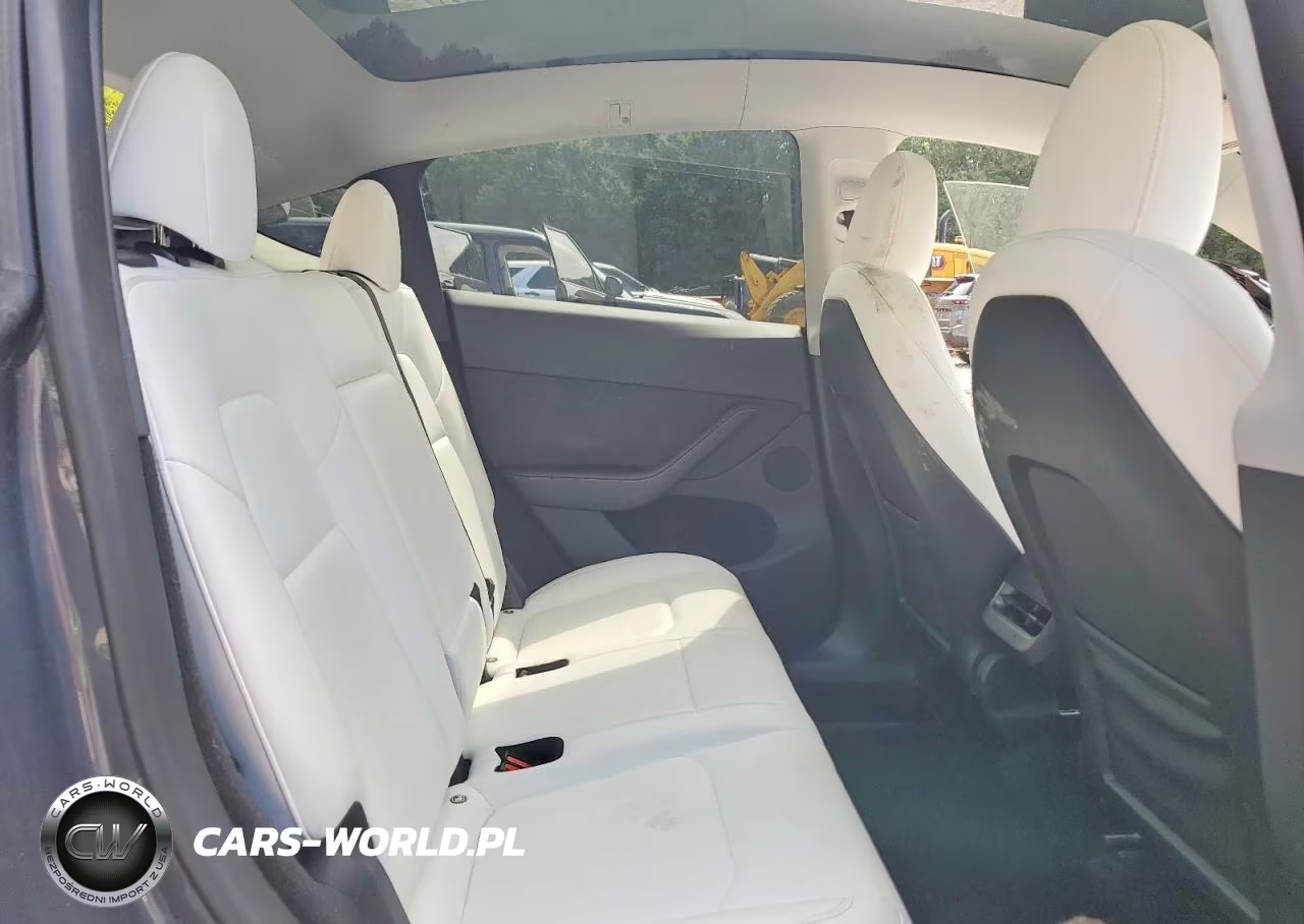 2023 Tesla Model Y VIN:7SAYGDEE3PA177731 - 10