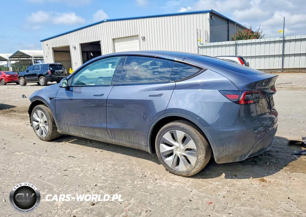 2023 Tesla Model Y VIN:7SAYGDEE3PA177731 - 2