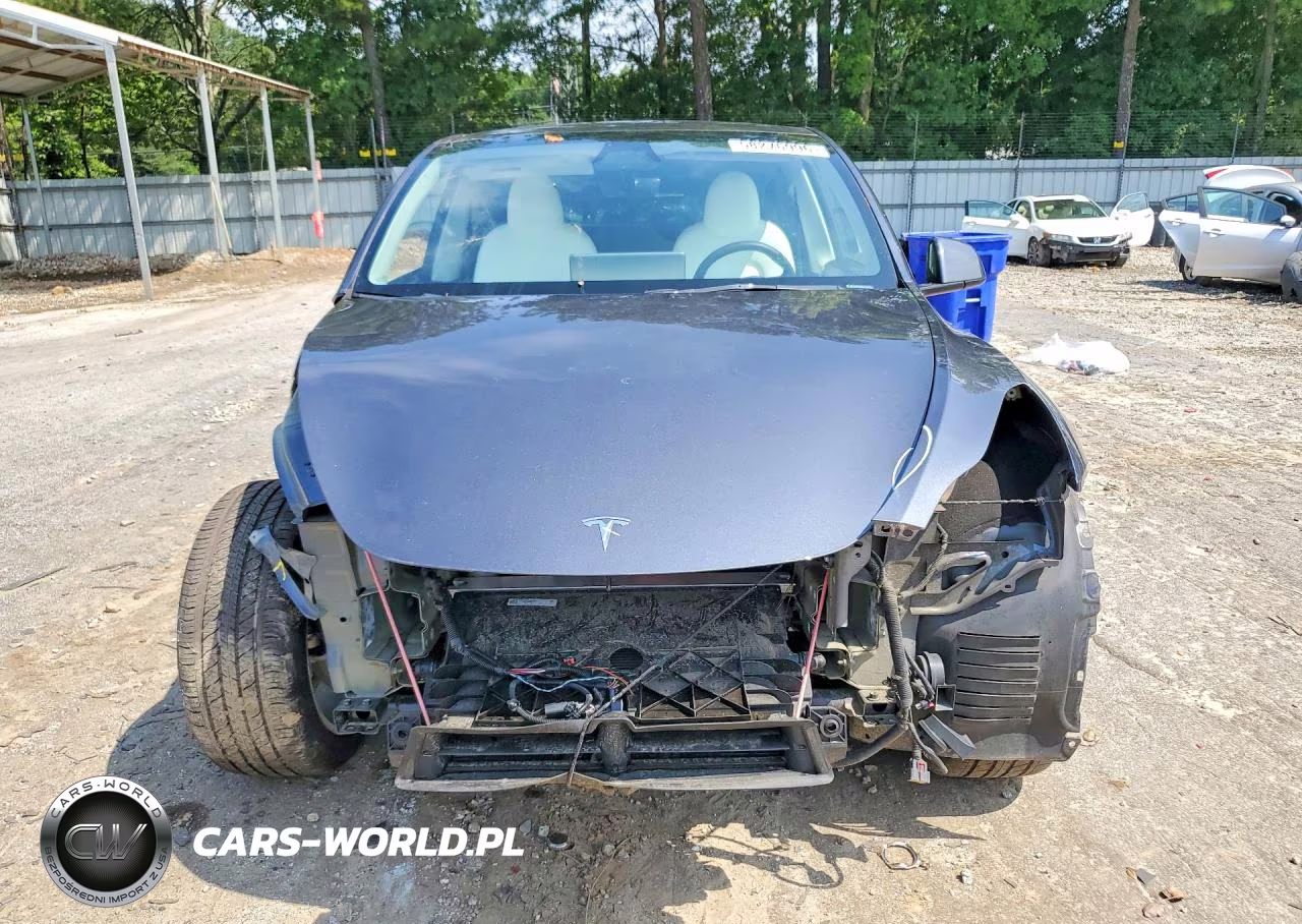 2023 Tesla Model Y VIN:7SAYGDEE3PA177731 - 5
