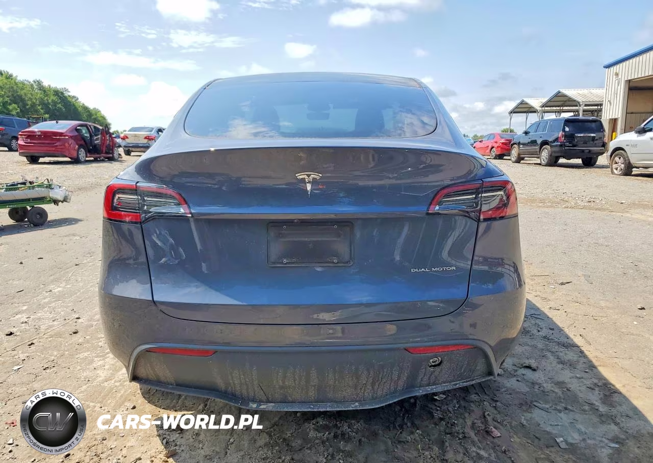2023 Tesla Model Y VIN:7SAYGDEE3PA177731 - 6