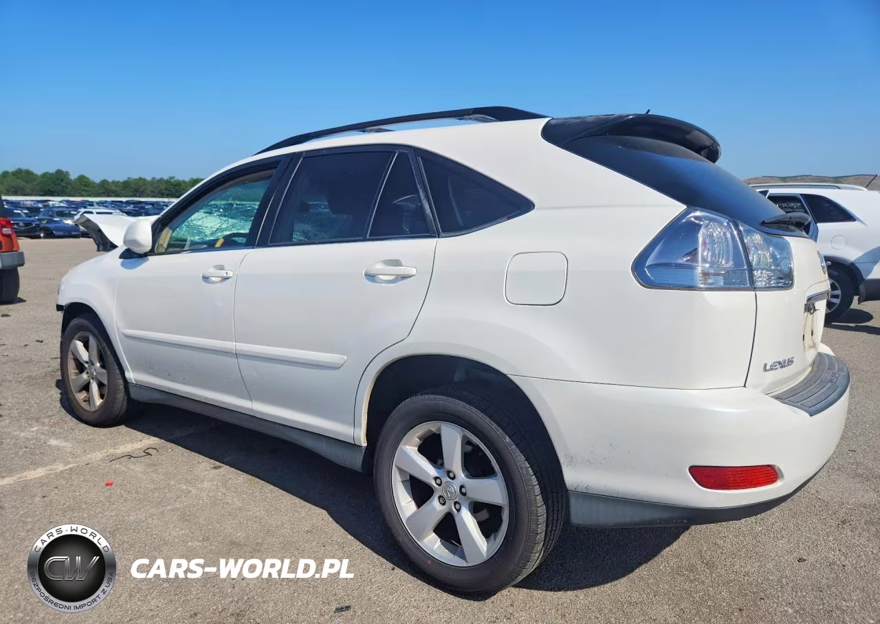 2004 Lexus Rx 330 VIN:JTJGA31U340043989 - 2