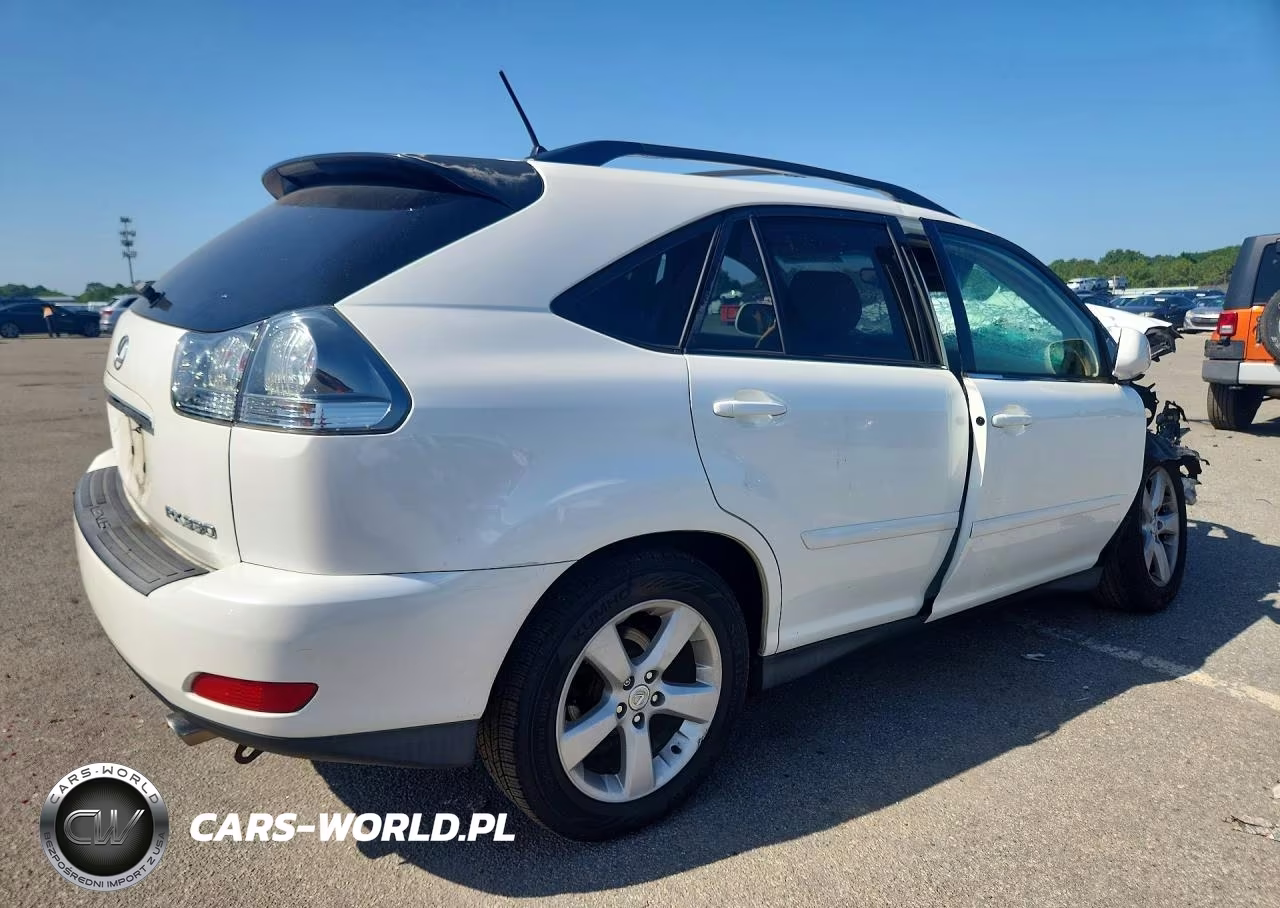 2004 Lexus Rx 330 VIN:JTJGA31U340043989 - 3