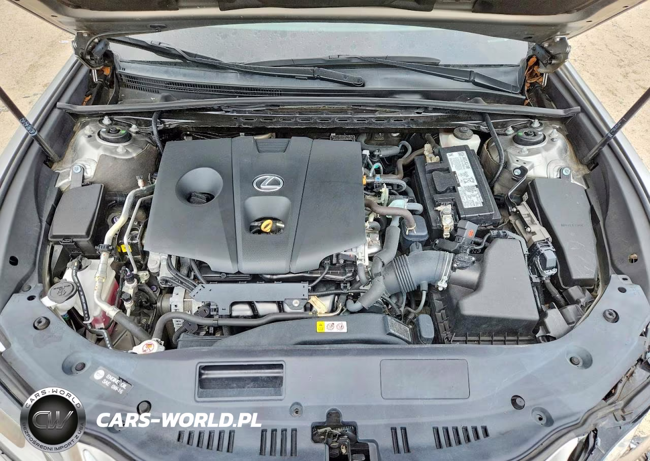 2021 Lexus Es 250 Base VIN:58AD11D14MU003820 - 11