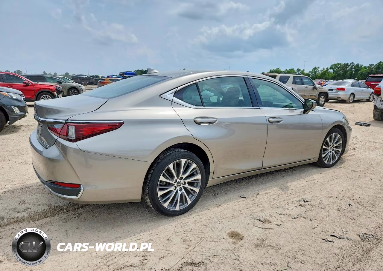 2021 Lexus Es 250 Base VIN:58AD11D14MU003820 - 3