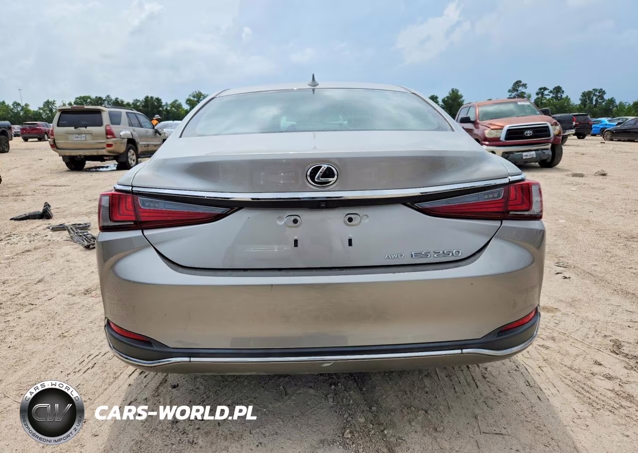2021 Lexus Es 250 Base VIN:58AD11D14MU003820 - 6