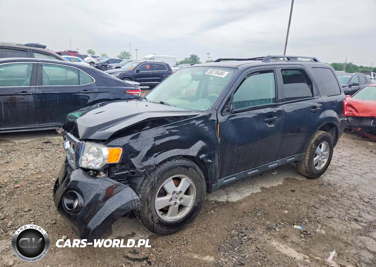 2011 Ford Escape Xlt