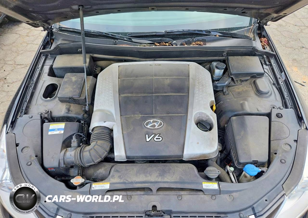 2011 Hyundai Genesis 3.8L V6 VIN:KMHGC4DE8BU145958 - 11