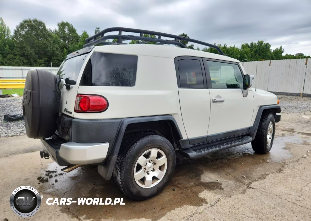 2010 Toyota Fj Cruiser Base VIN:JTEBU4BF8AK080235 - 3