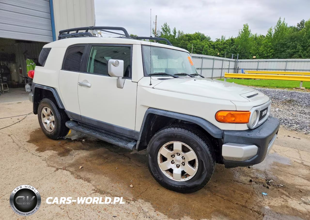 2010 Toyota Fj Cruiser Base VIN:JTEBU4BF8AK080235 - 4