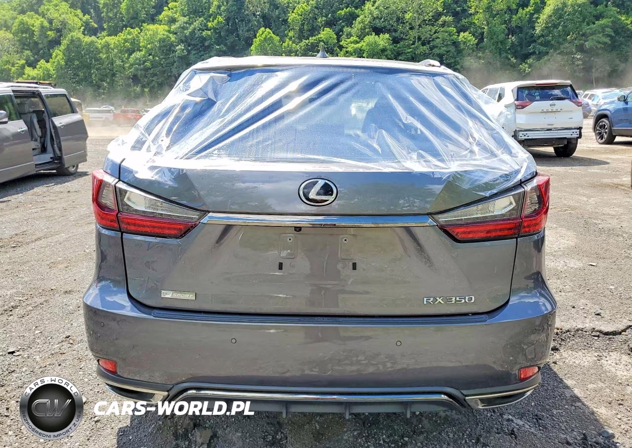 2020 Lexus Rx 350 F Sport VIN:2T2YZMDA4LC257560 - 6