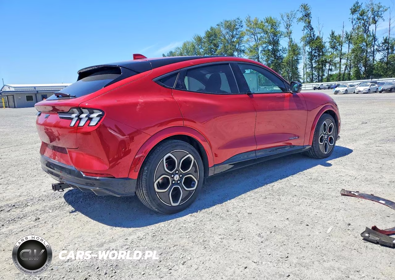 2021 Ford Mustang Mach-E Gt VIN:3FMTK4SE7MME01678 - 3
