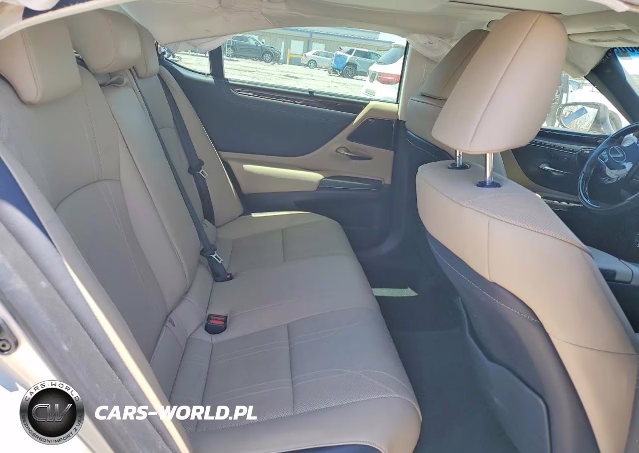 2019 Lexus Es 300H VIN:JTHB21B10K2045668 - 10