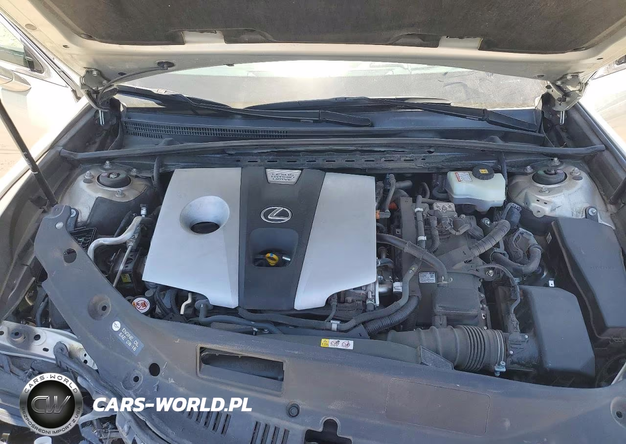 2019 Lexus Es 300H VIN:JTHB21B10K2045668 - 11