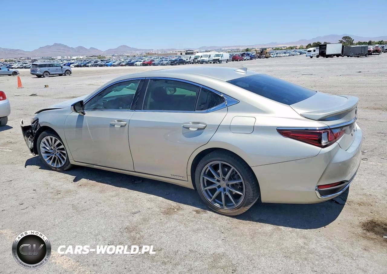 2019 Lexus Es 300H VIN:JTHB21B10K2045668 - 2